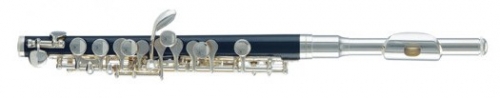 C Piccolos ABS body Silver plated Wind Instruments online Store with Wood Case