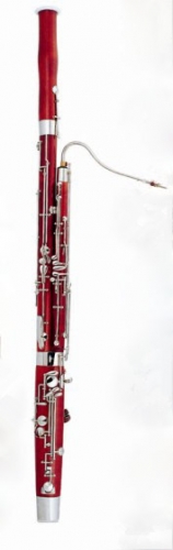Maple Basson C Pitch Nickel plated keys w/Wood case Woodwind Musical Instruments for sale