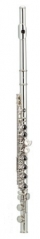 C Flute 16 Closed Holes Split-E key WoodWind Instr...