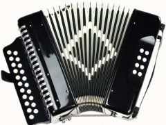 Entry Grade Accordion 21 Buttons 8 Bass Musical in...