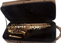 Eb Alto Saxophone Foambody case Weight 3.6kg Musical instruments Case online sale