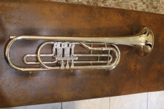 Bb Bass Trumpet Brass Body Lacquer Finish with Woo...