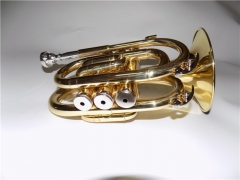 Bb Pocket Cornet Yellow Brass Body Lacquer Finish Trumpet Sale OEM Dropshipping China mainland supplier