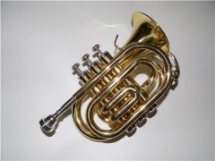 Bb Pocket Trumpet Brass Body with ABS case and mou...