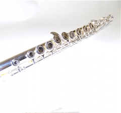 C Flute 16 Closed Holes Offset G Italy Pads WoodWind Instruments for sale with Case