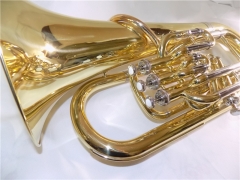 Hi-Grade Bb Euphonium 3+1 Stainless Steel Pistons with Mouthpiece and case Musical instruments for sale Dropshipping Online shop