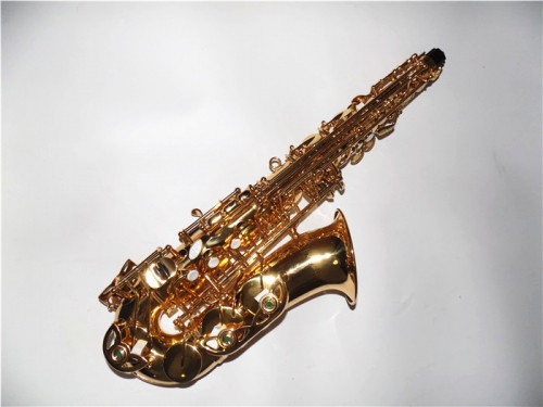 Alto Sax Italy Pads Yellow Brass Body China musical instruments online supply shop wholesale