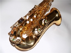 Alto Sax Italy Pads Yellow Brass Body China musical instruments online supply shop wholesale