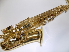 Alto Saxophone Lacquer Finish China mainland Musical instruments Suppliers