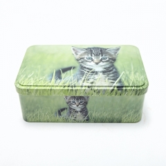 Cookie Storage Tin Box