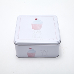 Cake Square Tin