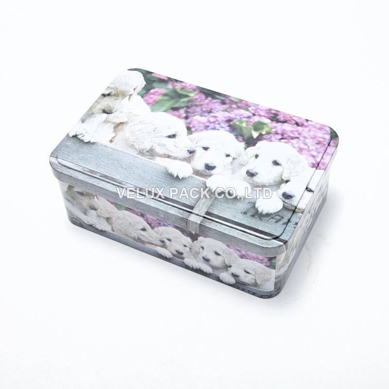 Cookie Storage Tin Box