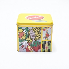 Metal Square Tin Case Tin Packaging Box Biscuit Tin