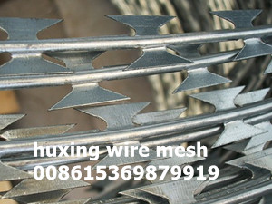 Hot Dipped Galvanized Blade Razor Barbed Wire Coil Concertina Razor Wire