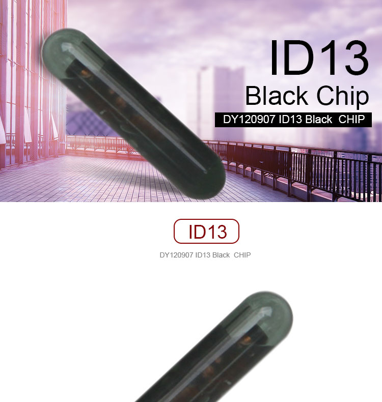 DY120907 ID13 Black  CHIP