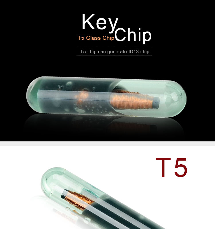 DY120903 T5 Glass Chip