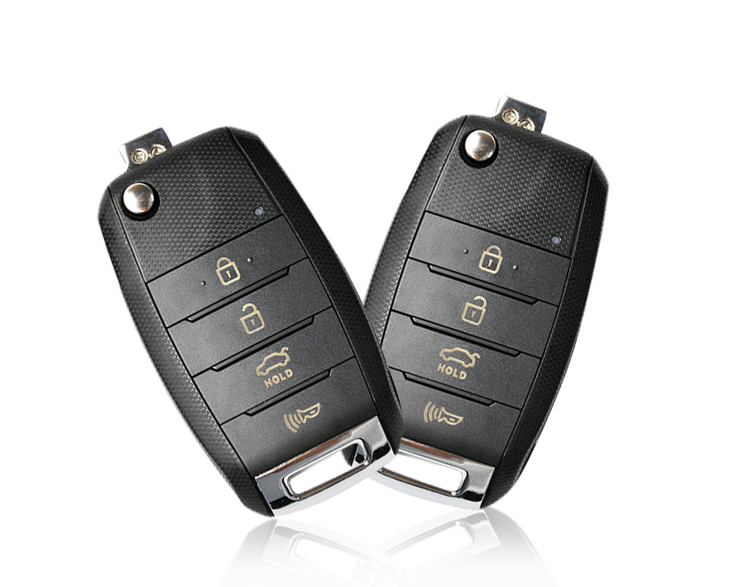 AK043025 B19-4 KD900  Remote Keys