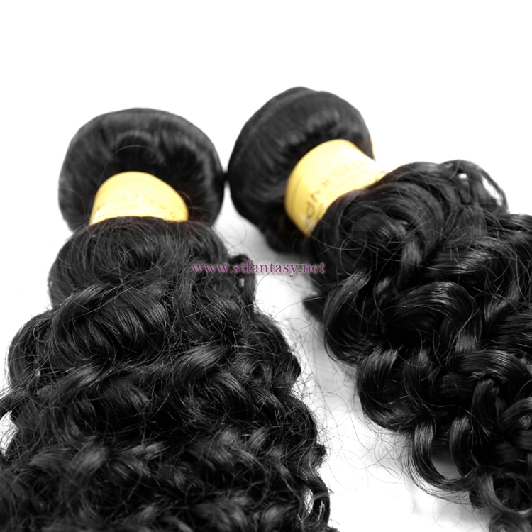 Afro Kinky Curly 100% European Hair Extension Human Weft