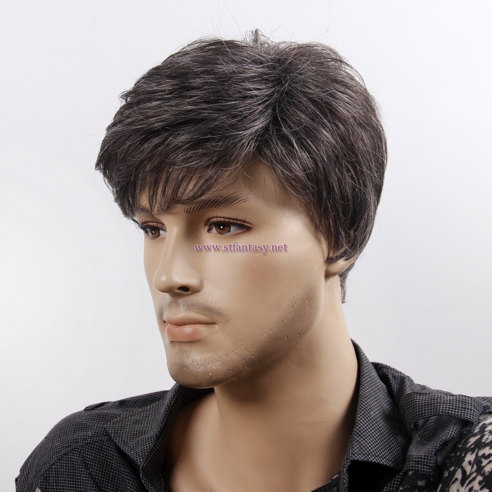 FantasyWig Hot Sale Short Straight Gray Wig Synthetic Hair Wigs For Men From China