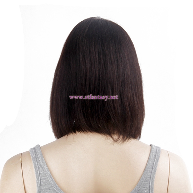 Human Hair Lace Front Wigs Wholesale Women Short Brown Brazilian Hair Wig For Women