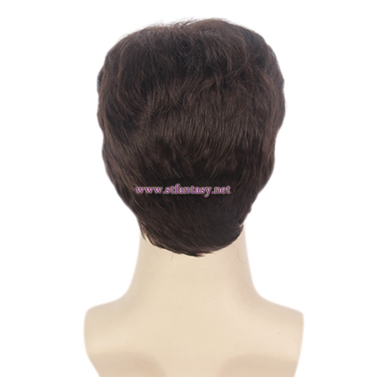 Short Brown Men Wig-Guangzhou Wholesale 12 Inch Fashion Synthetic Hair Wig For Men