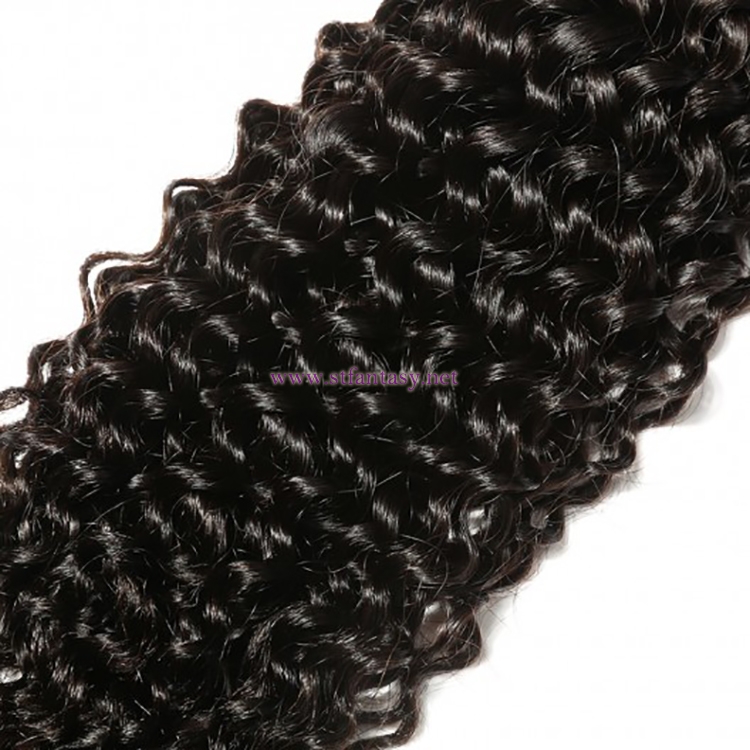 ST Fantasy Brazilian Curly Human Hair Weaves 4Bundles Deals