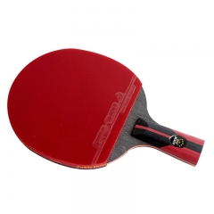 High-quality AYOUS Table Tennis