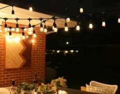 LED Festoon Lights