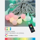 AMAZING SMART BERRY ORNAMENT LINE (STRING)