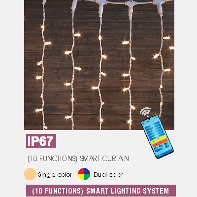 (10 FUNCTIONS) SMART CURTAIN