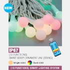 (10 FUNCTIONS) SMART BERRY ORNAMENT LINE (STRING)