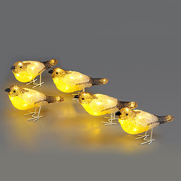 Set of 5, Acrylic Robins Lights Garden Outdoor Birds Christmas Lights