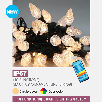(10 FUNCTIONS) SMART C9 ORNAMENT LINE (STRING)