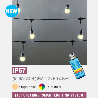 (10 FUNCTIONS) SMART STRING-6.H.G50