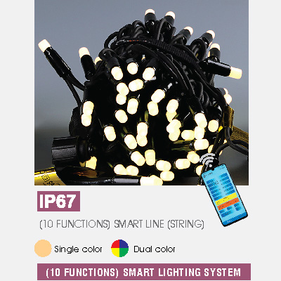 (10 FUNCTIONS) SMART LINE (STRING)
