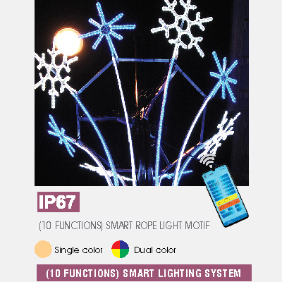 (10 FUNCTIONS) SMART ROPE LIGHT MOTIF