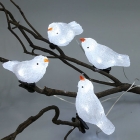 Set of 5, White Led, Acrylic Robins Lights Garden Outdoor Birds Christmas Lights