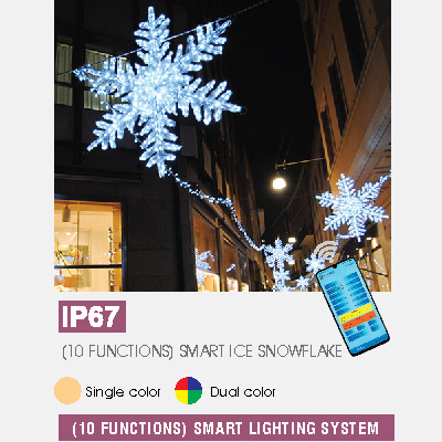 (10 FUNCTIONS) SMART ICE SNOWFLAKE