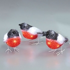 Set of 5, White Led, Acrylic Robins Lights Garden Outdoor Birds Christmas Lights