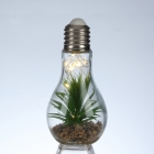 Glass Bottle , Copper Wire Garden Lights