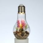 Glass Bottle 1 Led Garden Light