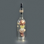 Conch, Glass Bottle Copper Wire Garden Lights