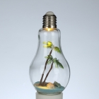 Glass Bottle 1 Led Garden Light