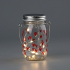 Glass Bottle , Copper Wire Lights