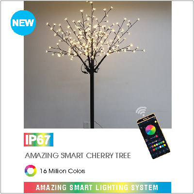 AMAZING SMART CHERRY TREE