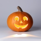 LED Halloween Lights-F0827.01