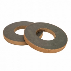 Dia 200 Profile BK Polishing Wheel 200*20*22（Bore） + 46#