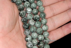 10mm Seraphinite Gemstone Green Round 10mm Loose Beads 7.5 inch Half Strand (90146979-255)