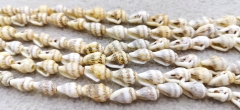 Drilled--13-18mm Cone type sea shell, Mixed colour Mottled- White natural shells jewelry beads strand 16 inch for earrings charm