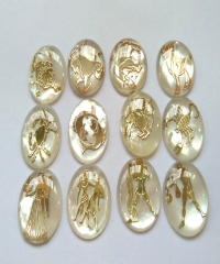 120pcs Gold Pendant Mop Shell jewelry Zodiacs Round Shell Cabochon White Pearl Shell Beads, Cute Animal Charms 16\18\22mm